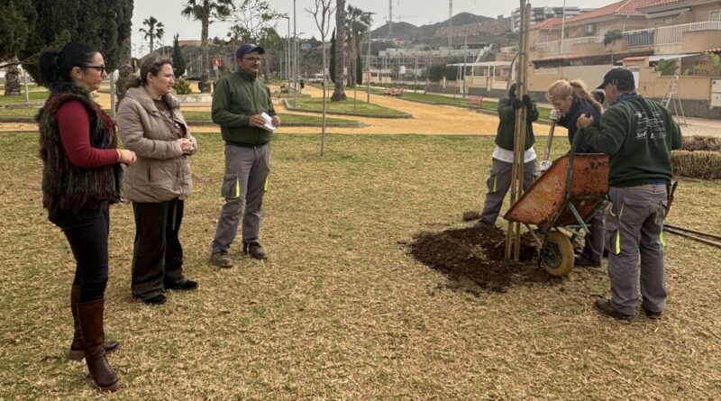 Continúan los trabajos de plantación de arbolado en distintos puntos de la localidad