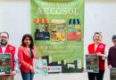 Lorca une solidaridad, arte y comercio en una gran jornada con Cruz Roja