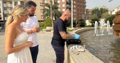 Culmina la campaña estival de prevención de la legionelosis en casi setenta fuentes ornamentales de Lorca