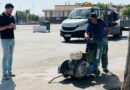El Gobierno de Lorca invierte más de 88.000 euros en la renovación integral de la red eléctrica del recinto ferial del Huerto de la Rueda