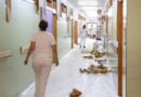 Educación invierte cerca de 100.000 euros para mejorar los colegios del municipio durante el verano