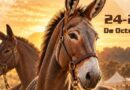 Lorca acoge este fin de semana, en el Huerto de la Rueda, la tradicional Feria del Caballo Cruzado, con la exhibición de más de un centenar de ejemplares